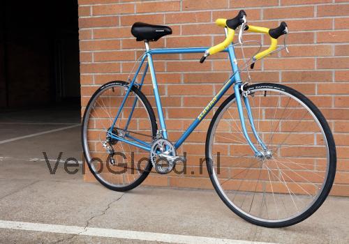 Schwinn Traveler specificaties 